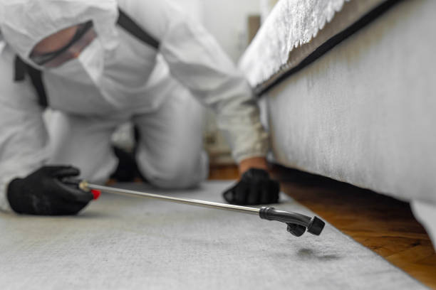 Professional Bed Bug Control technician working in Union City, CA