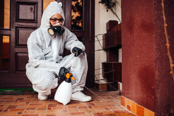 Reliable Bed Bug Control contractor in Union City, CA by Nex Pest Control